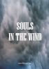 Souls In The Wind by Jeremy Mark Lane