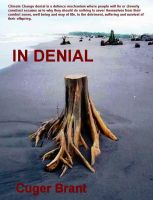 Cover for 'In Denial'