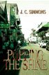 Popping the Shine (Book 6 of the Jay Leicester Mysteries Series) Special Preview Edition by JC Simmons