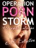 Operation Porn Storm by Stella Kingston