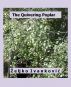 The Quivering Poplar by Zeljko  Ivankovic