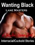 Wanting Black by Lane Masters