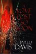 A Love Lost So Soon by Jared Davis