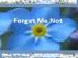 Forget Me Not by Monica P
