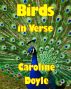 Birds In Verse by Caroline Doyle
