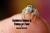 Spiders Know A Thing Or Two by Lorena Covrett