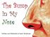 The Bump In My Nose by Kevin McGuiness