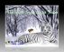 The First Snow in 70 Years by Amy Laine 