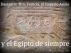 Damasco: Tiro, Fenicia, el Imperio Asirio y el Egipto de siempre. by Alejandro's Libros 