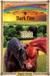 Dark Fire by Angela Dorsey