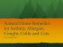Natural First Aid for Asthma, Allergies, Colds, Coughs, and Cuts by Dr. Noreen Khan Kassem