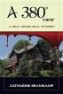 A 380 Degree View by Catharine Bramkamp