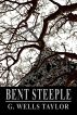 Bent Steeple by G. Wells Taylor