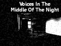 Cover for 'Voices In The Middle Of The Night'