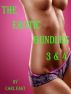 The Erotic Bundles 3 & 4 by Carl East