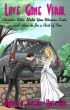Love Gone Viral by Pamela Fagan Hutchins