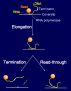 Immobilized Enzymes in Food Processing by Alexander Stone