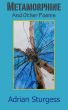 Metamorphine and Other Poems by Adrian Sturgess