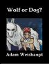 Wolf or Dog? by Adam Weishaupt