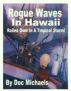 Rogue Waves in Hawaii by Doc Michaels