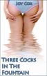 Three Cocks In The Fountain by Joy Cox