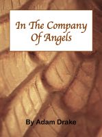Cover for 'In The Company of Angels'