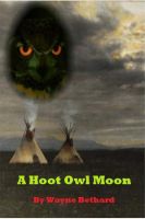 Cover for 'A Hoot Owl Moon'