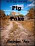Pig in a Poke by Sotirios Fox