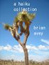 A Haiku Collection by Brian Avey