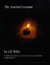 The Amulet Covenant by CE Wills