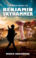 Cover for 'The Adventures of Benjamin Skyhammer'