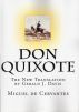 Don Quixote by Gerald J. Davis