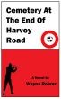 Cemetery At The End Of Harvey Road by Wayne Rohrer