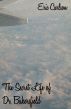 The Secret Life of Dr. Bakersfield by Eric Carlson