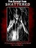 Free Excerpt from Shattered by I.G. Frederick