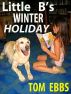 Little B's Winter Holiday by Tom Ebbs