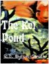 The Koi Pond by R.D. Byron-Smith