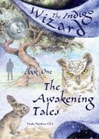 Cover for 'Indigo Wizard Book One: The Awakening Tales'