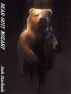 Bear-suit Mozart by Josh Starbuck