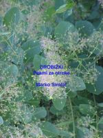 Cover for 'Drobižki'