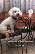 Casey's Adventures The Story of the life of a toy golden doodle by Patty Lo Tran