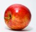 There Really Was a Johnny Appleseed by ted clarke