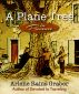 A Plane Tree in Provence by Arlene Graber