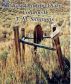 Ghost Hunting Diary Volume II by TM Simmons