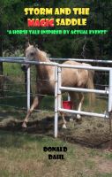 Cover for 'Storm and the Magic Saddle'