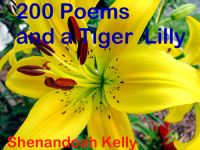 Cover for '200 Poems and a Tiger Lilly'