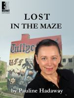Cover for 'Lost In the Maze'
