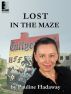 Lost In the Maze by Dan Travis