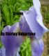 Green by Shirley Robertson