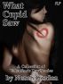 What Cupid Saw - A Collection of Valentine's Day Stories by Neneh Gordon